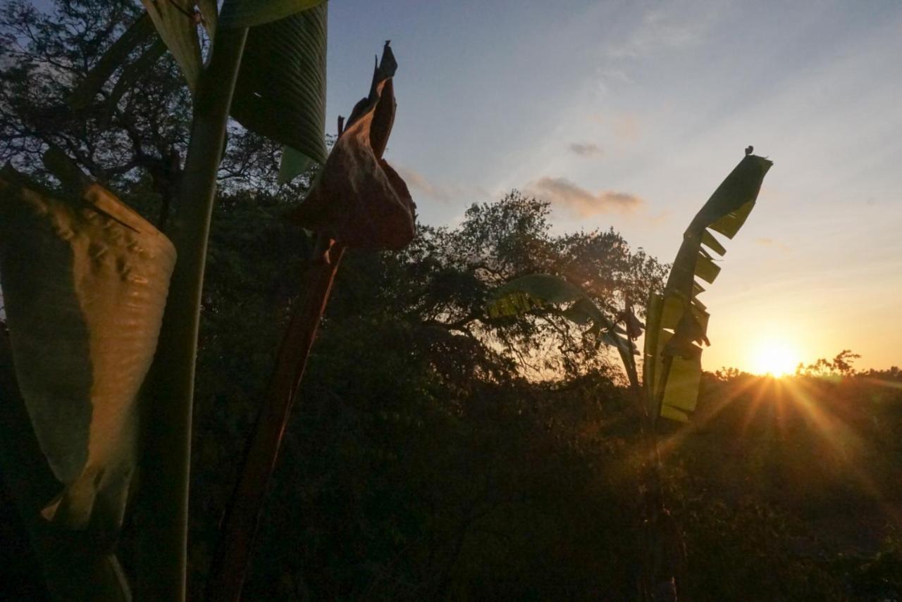 Kibu Kauh Sunrise Cottage Sakti Bagian luar foto